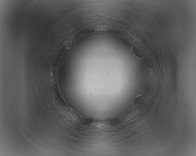 X0000073420655200608181122