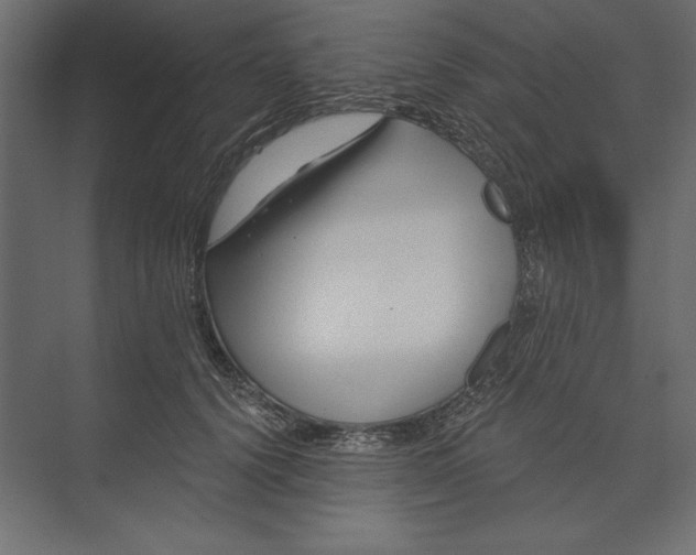 X0000073420656200608181122