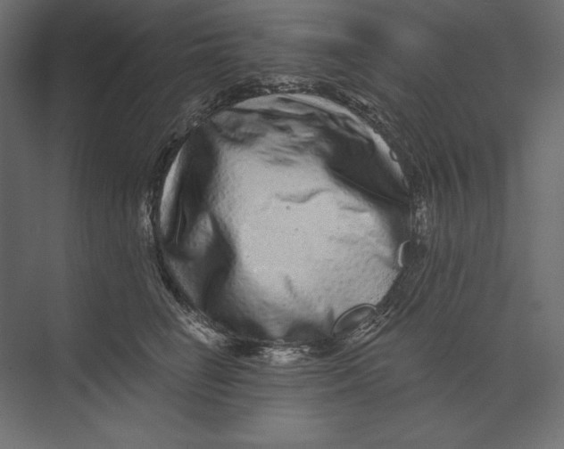 X0000073420662200608181122