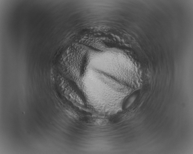 X0000073420663200608181122