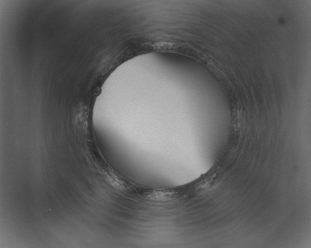 X0000073420664200608181122