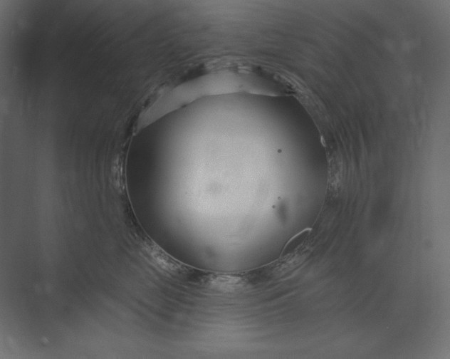 X0000073420669200608181122