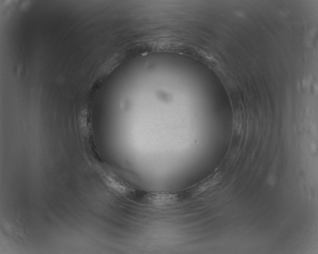 X0000073420670200608181122