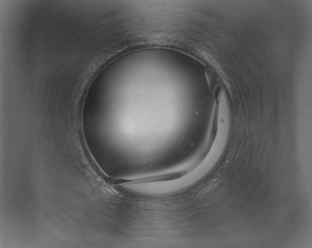 X0000073420673200608181122