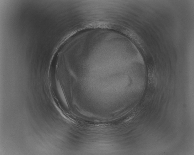 X0000073420674200608181122