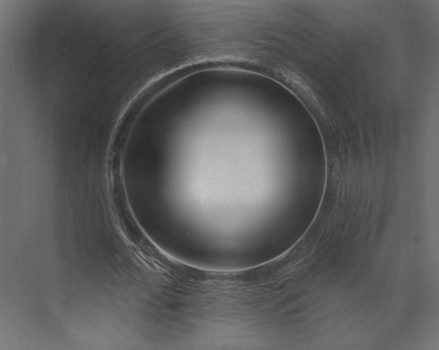 X0000073420676200608181122