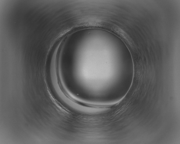 X0000073420677200608181122