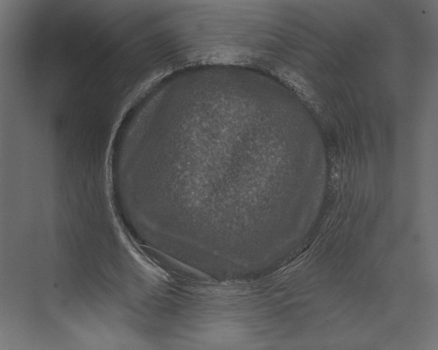 X0000073420678200608181122