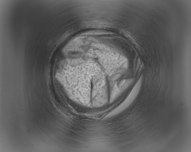 X0000073420679200608181122