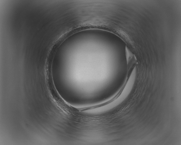 X0000073420680200608181122