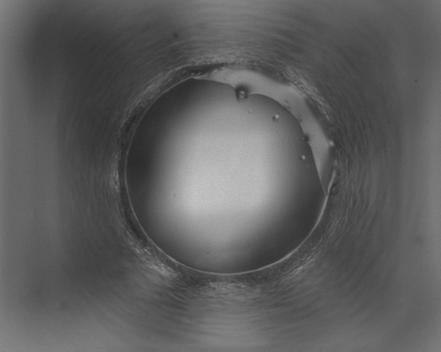 X0000073420681200608181122