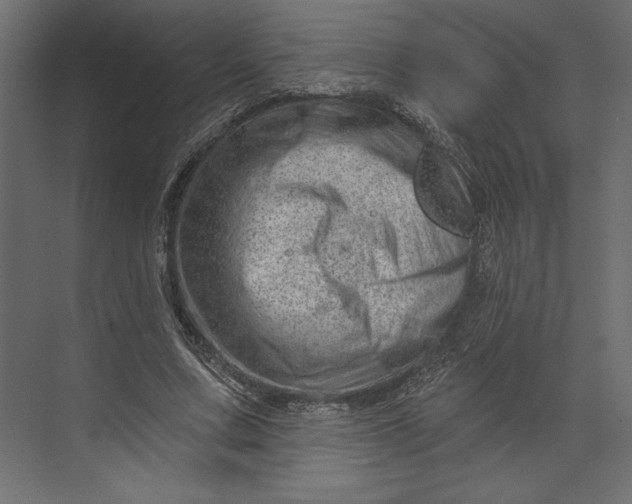 X0000073420683200608181122