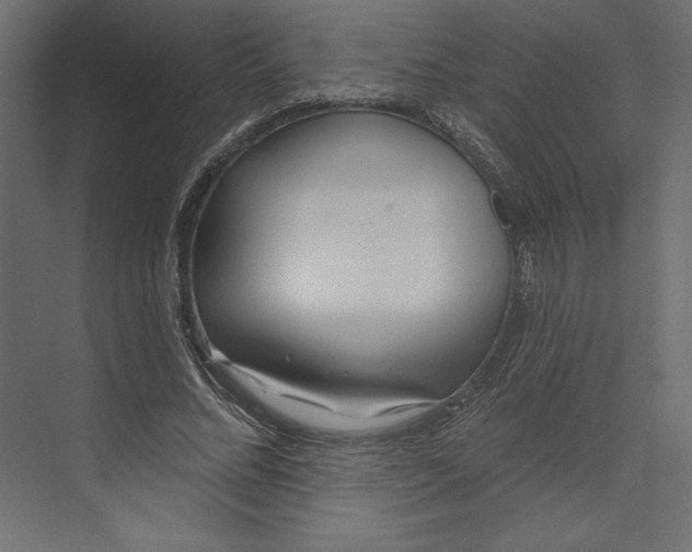 X0000073420684200608181121