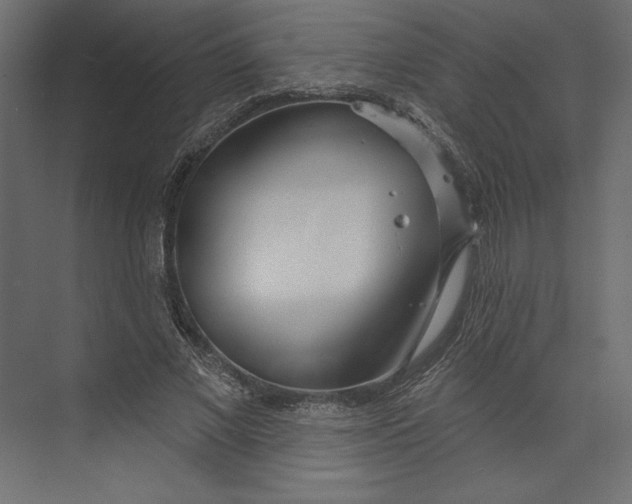 X0000073420685200608181121