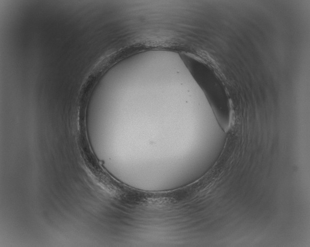 X0000073420686200608181121