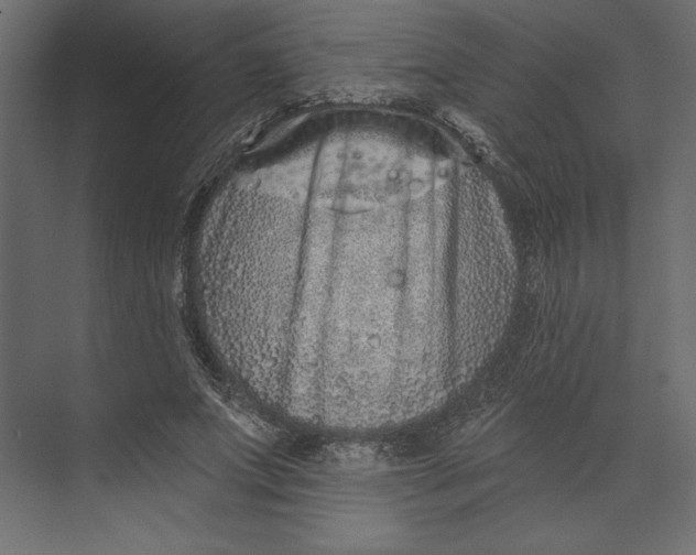 X0000073420687200608181121