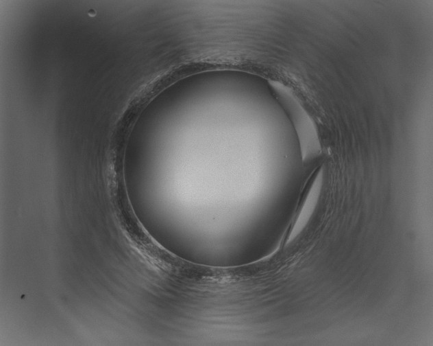 X0000073420688200608181121