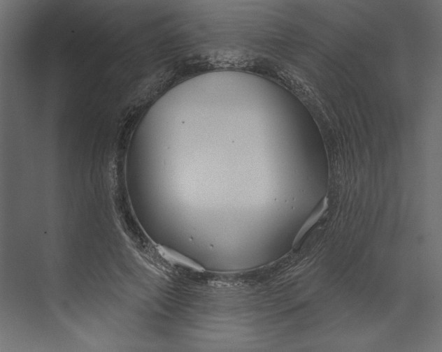 X0000073420690200608181121