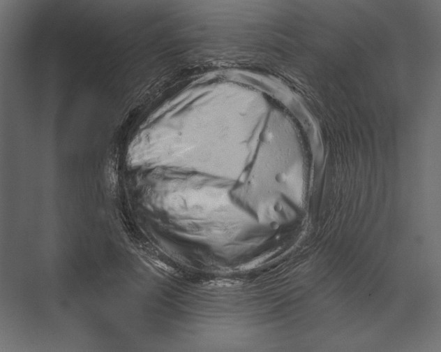 X0000073420691200608181121