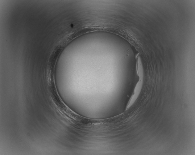 X0000073420692200608181121