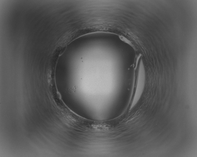 X0000073420693200608181121