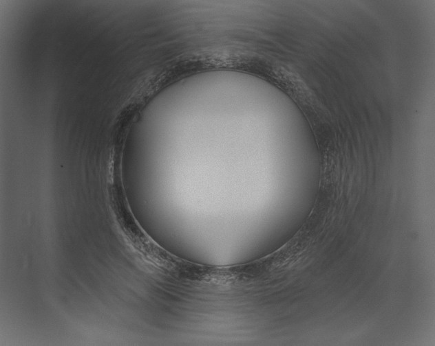 X0000073420694200608181121