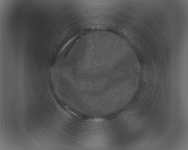 X0000073420695200608181121