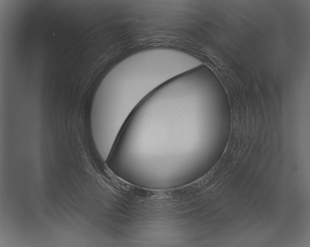 X0000073420696200608181121