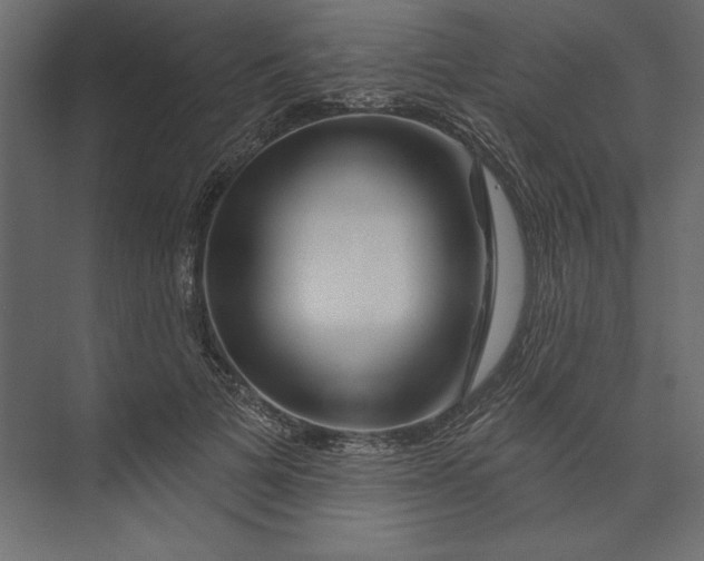 X0000073420697200608181121