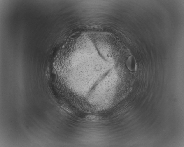 X0000073420699200608181121