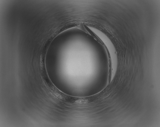 X0000073420700200608181121