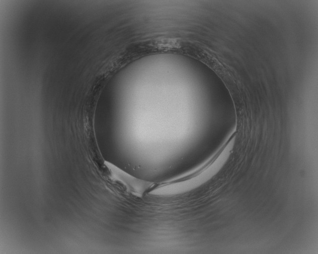 X0000073420704200608181121