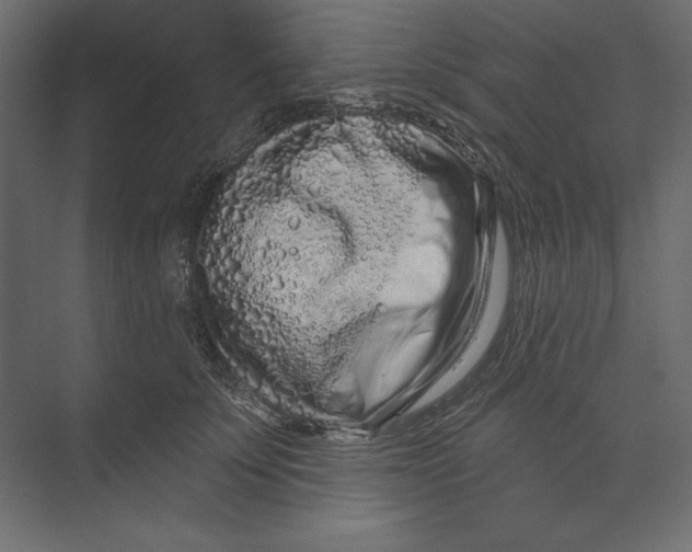 X0000073420707200608181121