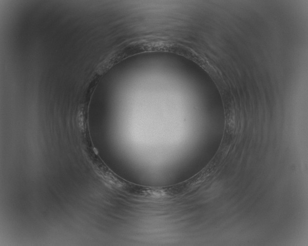 X0000073420715200608181121