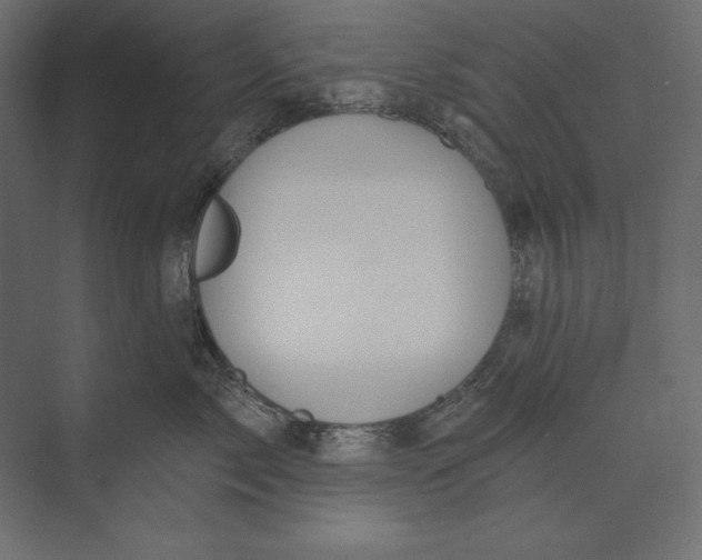 X0000073420717200608181121