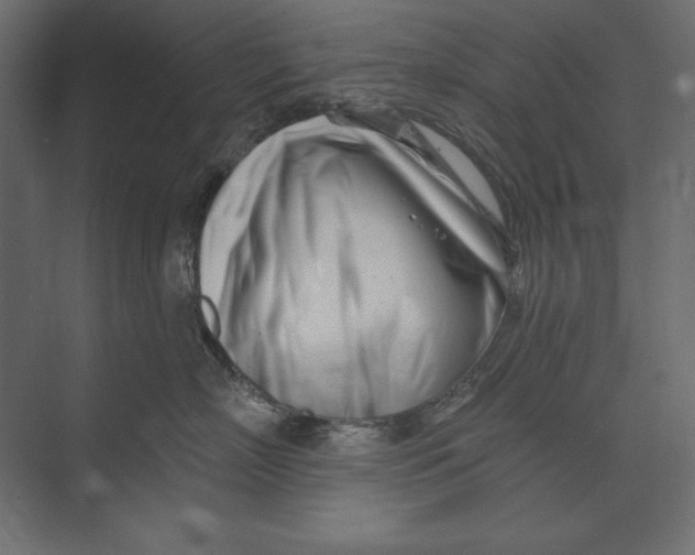 X0000073420718200608181121