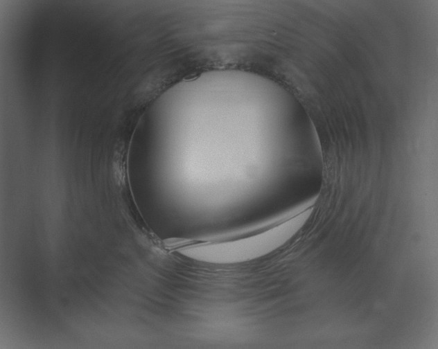 X0000073420719200608181121