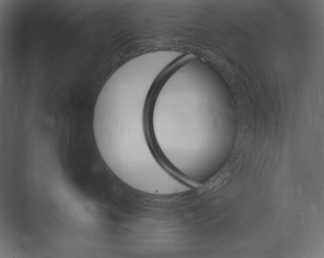 X0000073420720200608181121