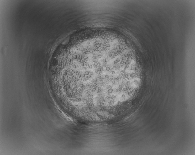 X0000073420721200608181120