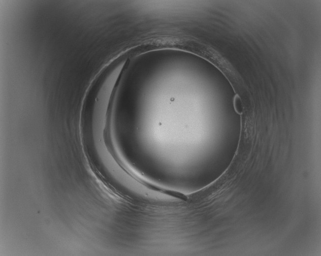 X0000073420722200608181120