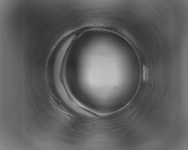 X0000073420723200608181120