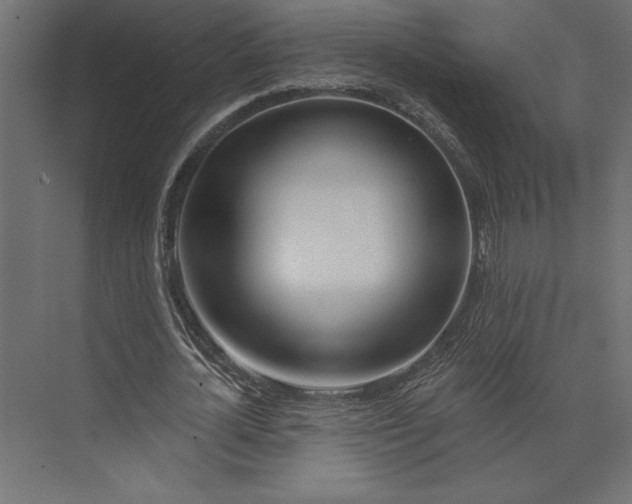 X0000073420724200608181120