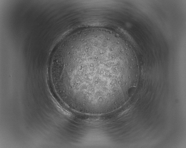 X0000073420725200608181120