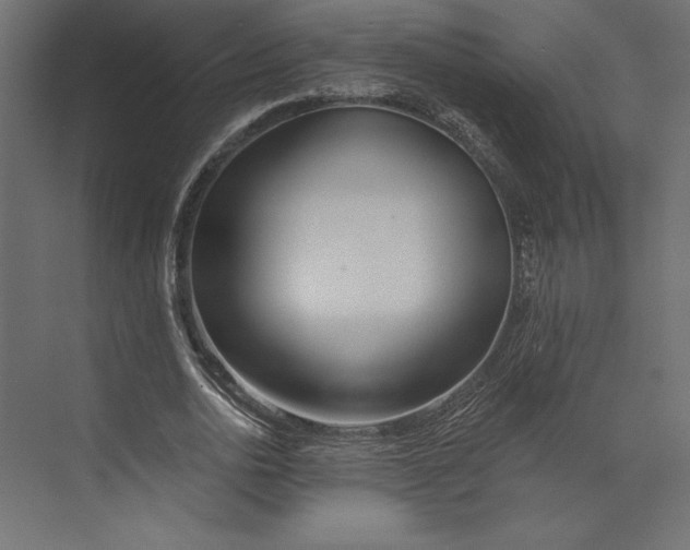 X0000073420726200608181120