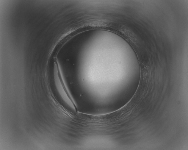 X0000073420727200608181120