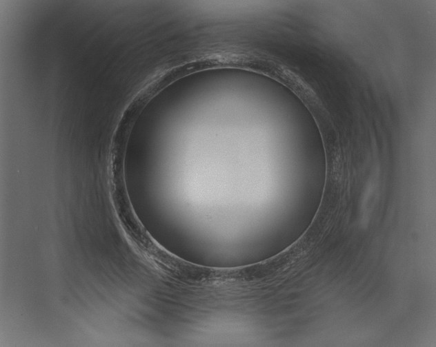 X0000073420730200608181120