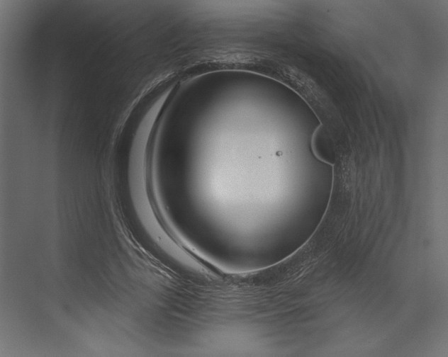 X0000073420731200608181120