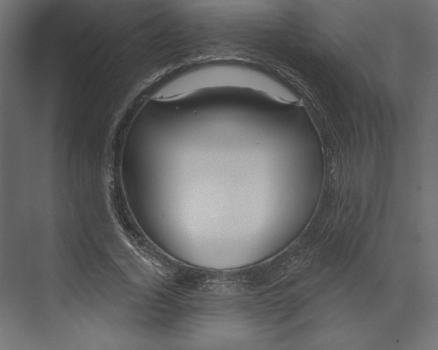 X0000073420732200608181120