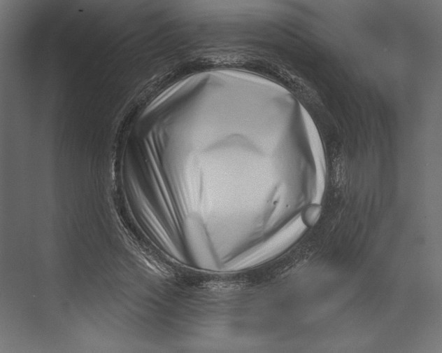 X0000073420733200608181120