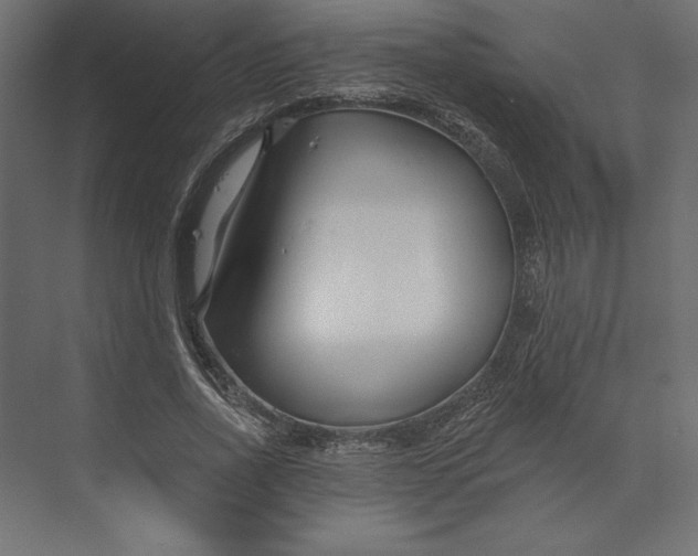 X0000073420734200608181120